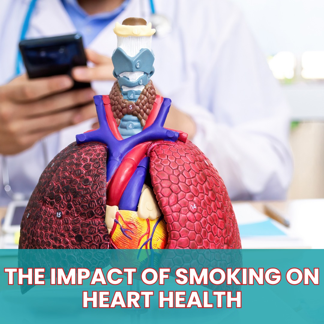 How Smoking Affects Your Heart and Tips to Quit