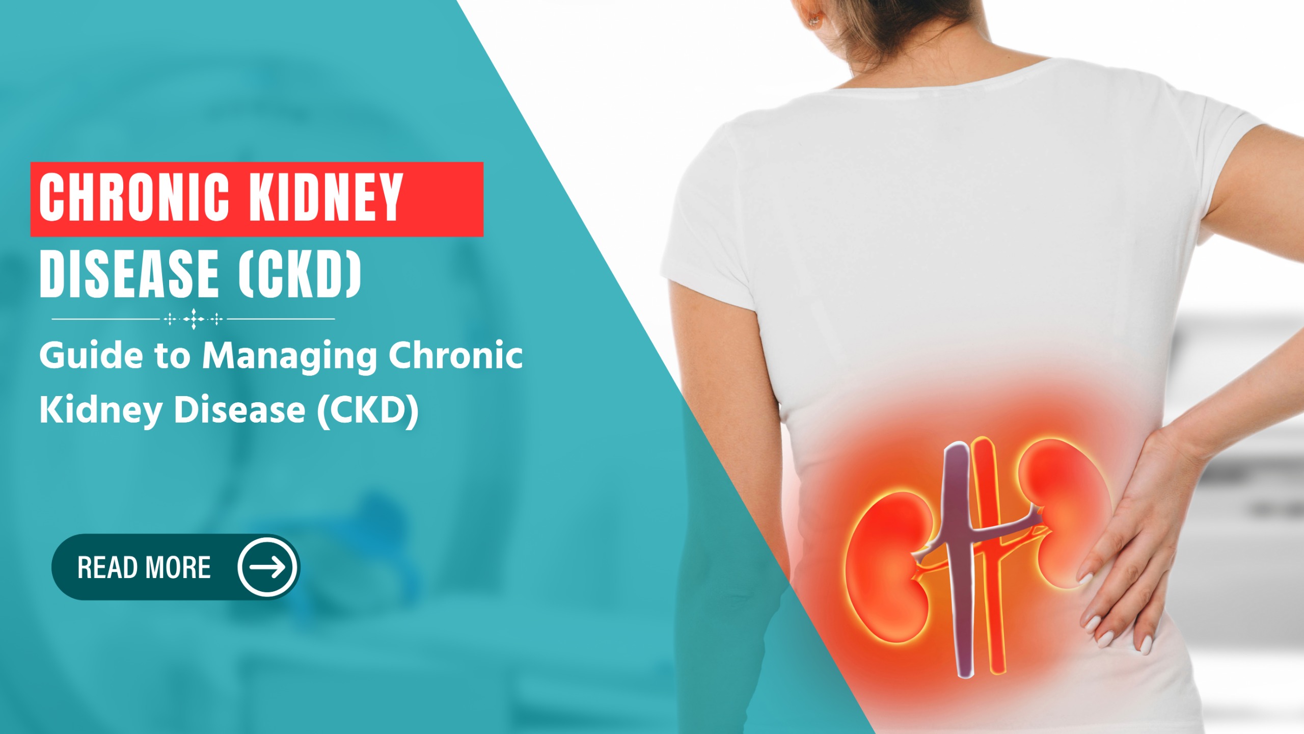 Chronic Kidney Disease (CKD): Guide to Managing Chronic Kidney Disease