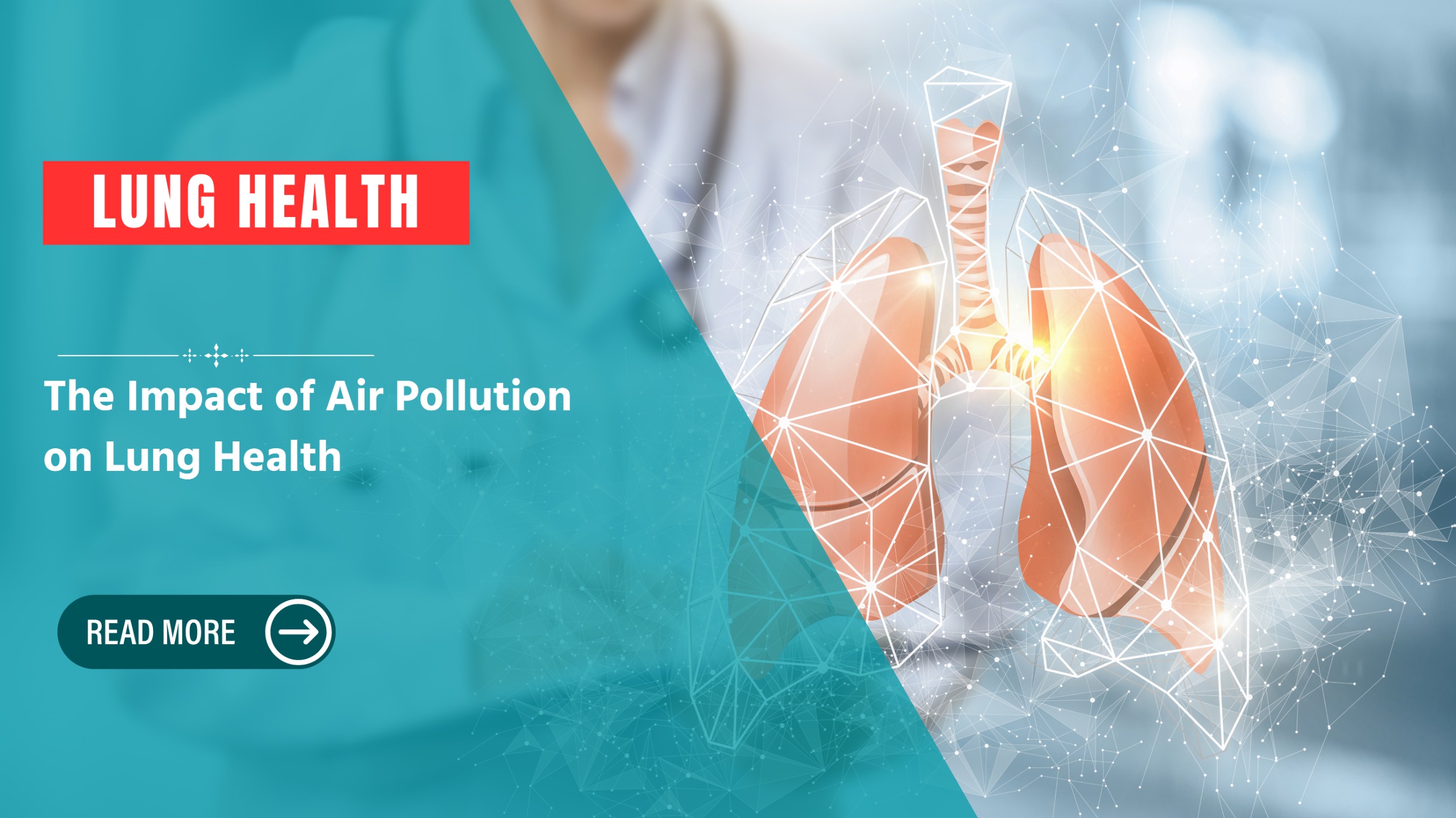 The Impact of Air Pollution on Lung Health